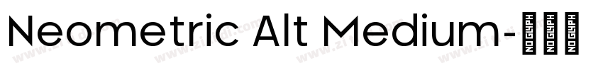 Neometric Alt Medium字体转换